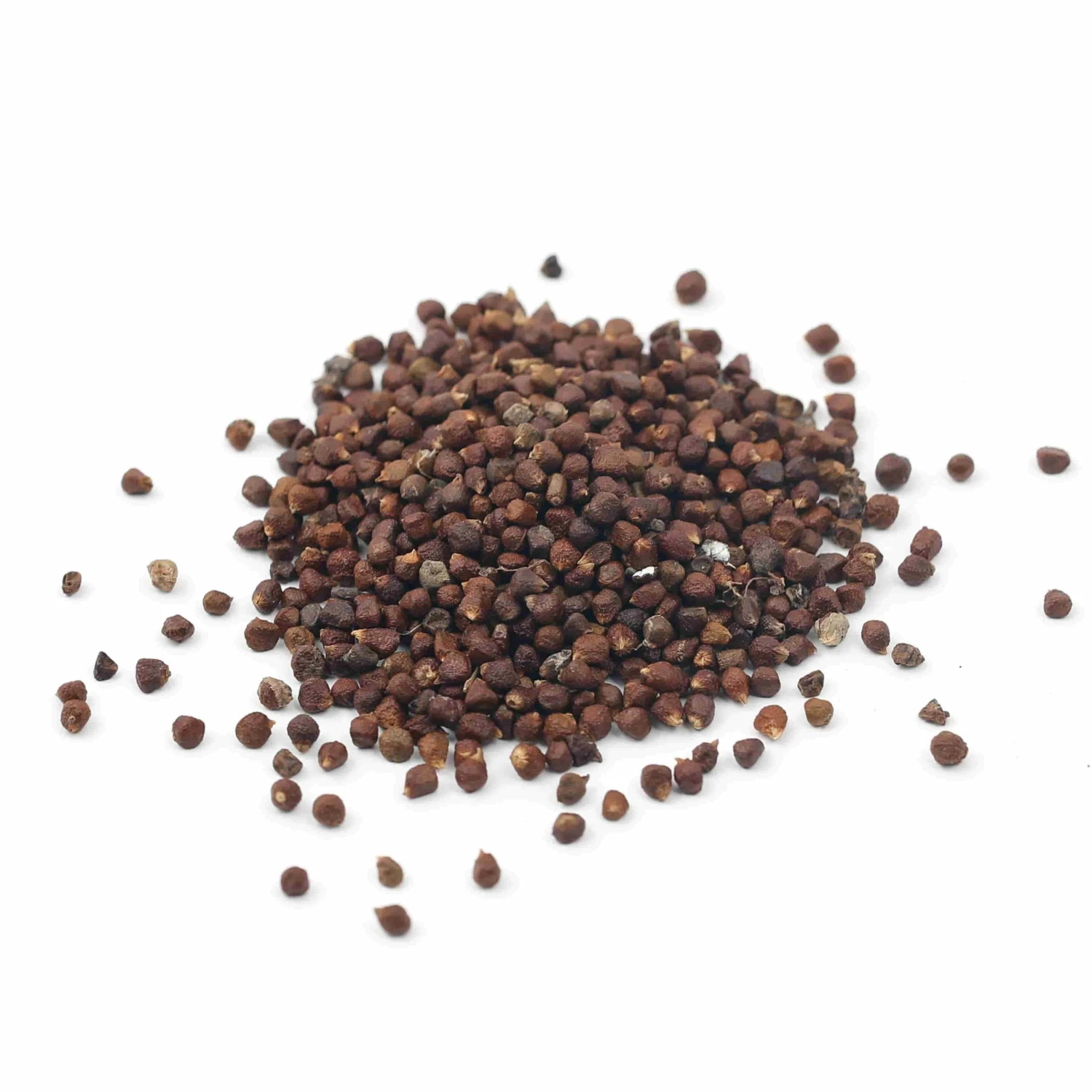 Ingredients Terre Exotique Grains Of Paradise 500g 4 Ingredients Terre Exotique Grains Of Paradise 500g