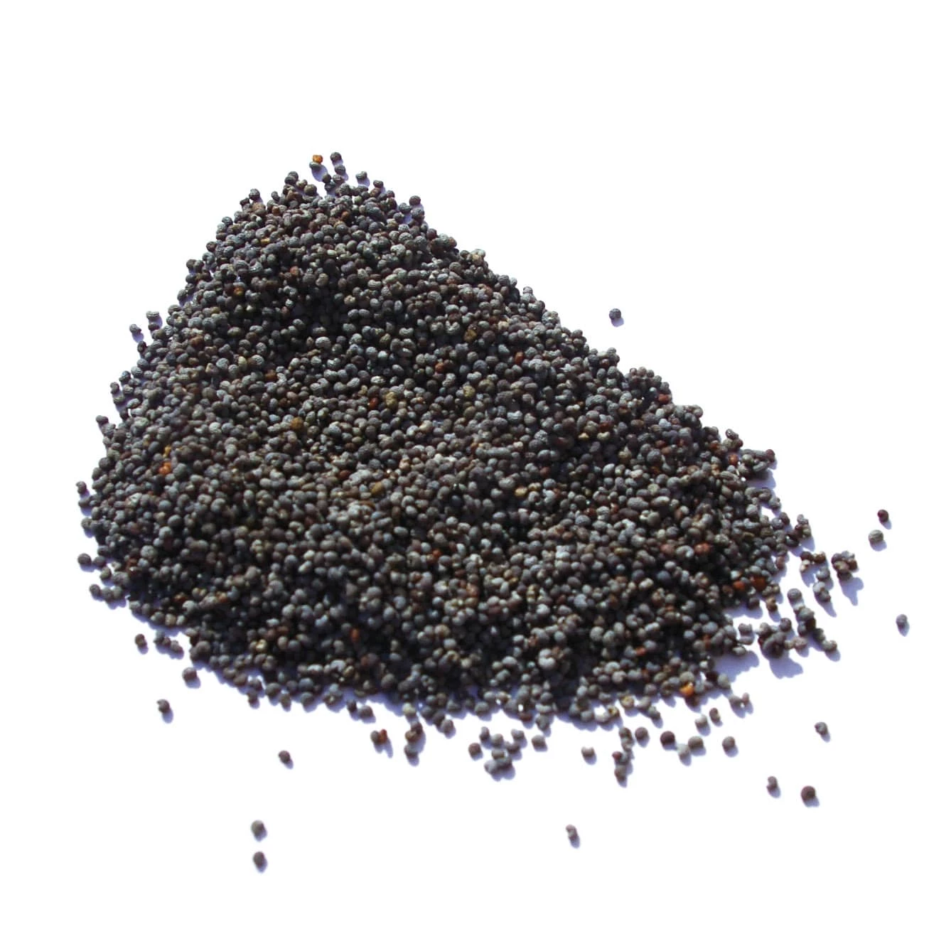 Ingredients Terre Exotique Blue Poppy Seeds 500g 4 Ingredients Terre Exotique Blue Poppy Seeds 500g