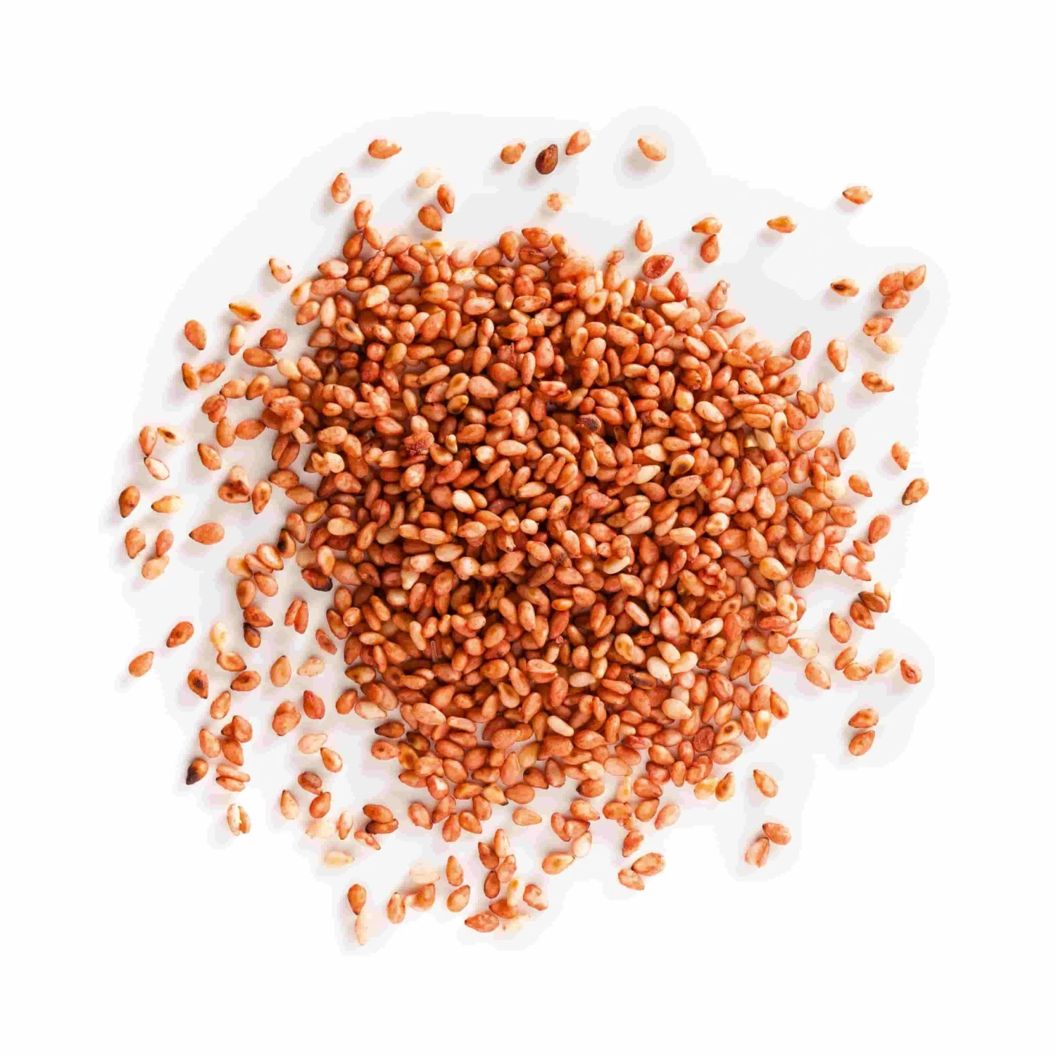 Terre Exotique Umeboshi Sesame Seeds 250g 4 Terre Exotique Umeboshi Sesame Seeds 250g