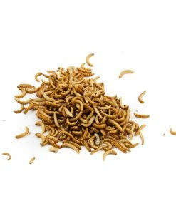 Eat Grub Edible Insects Edible Buffalo Worms 20g