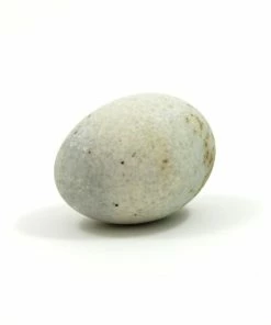 Shen Dan Ingredients Century Eggs - 6 Duck Eggs