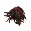 Brindisa Guindilla Pepper Ristra - String Of 50 1 Brindisa Guindilla Pepper Ristra - String Of 50