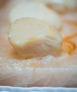 Terre Exotique Himalayan Salt Plate Ingredients 8 Terre Exotique Himalayan Salt Plate Ingredients