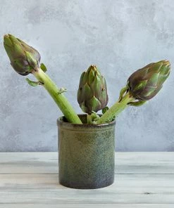 Ceramica Nicola Lagoa Kitchen Utensils Jar